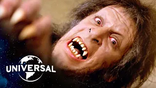 an american werewolf in london the transformation