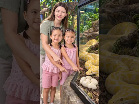 How Do Snakes Hatch, and Why Do Snakes Shed? | Animal Facts for Kids