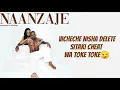 Diamond platnumz  Naanzaje lyrics Official video Lyrics