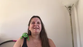 reception phonics application of ss and ee video 02 07 20