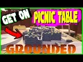 How to Get on the Picnic Table Quickly in Grounded