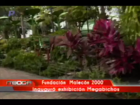 Fundación Malecón 2000 inauguró exhibición Megabichos