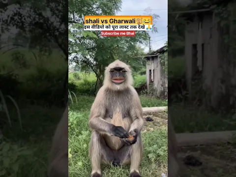 बलराज जवाब दे रहा है 😊😘🤣 #comedy #funny