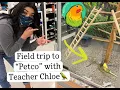 Field Trip to Petco with Teacher Chloe