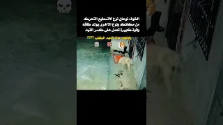 الخوف   تعبير عن الخوف   انواع الخوف  خوف الكلاب  تصاميم  حالات واتس  عبارات   معلومات دندنها