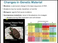 2117 Chapter 8 Part B - Microbial Genetics