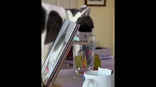 Drinking water from her Lenox Crystal glass - it s supplemental water so she thinks she is stealing
