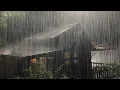 Download Lagu Very Heavy Rain on a Metal Roof to Sleep Immediately with Rumbling Thunder Sounds Deep in the Forest