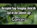 Download Lagu Cancer🌹Bersiaplah Yang Terungkap Untuk Mu Saat Ini dan Sebentar Lagi💘💃