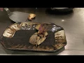 Download Lagu Top chef cooking at Teppanyaki Restaurant Sazanka