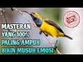 Download Lagu Kurang Dalam 1 mnt burung anda pasti ikut gacor //viral sogon gacor dor ngeleper