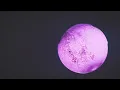 Frank Ocean - Pink Matter ft. André 3000 (Music Video)