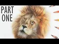 REALTIME How to Draw a LION with COLORED PENCIL Part One
