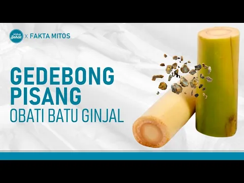 Ragam Manfaat Gedebog Pisang, Bisa Untuk Batu Ginjal