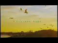 陳蕾 Panther Chan - 窮人的薔薇 Rose (Official Lyric Video)