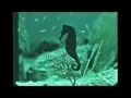 Download Lagu Nirvana - Rape Me (Official Music Video)