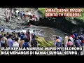 Download Lagu EEN MOOIE SLANG MET EEN MENSELIJKE KOP, NYI BLORONG, VERSCHIJNT PLOTSELING IN EEN RIVIER IN HET J...