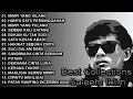 Download Lagu BEST OF SALEEM IKLIM - LAGU MALAYSIA POPULER - LAGU PENGANTAR TIDUR. TANPA IKLAN