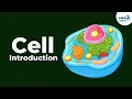 Cells - Introduction Biology Don t Memorise