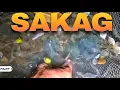 Download Lagu P1 - Jackpot sa Sakag ang Raptor Boys