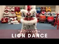 Download Lagu Celebrate the Lunar New Year with the Lion Dance 🦁
