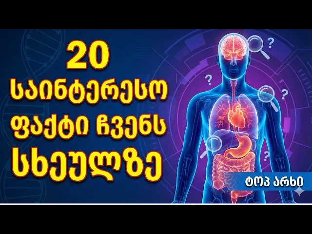 20 საინტერესო ფაქტი ჩვენს სხეულზე | ტოპ არხი
