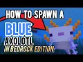 How to spawn the BLUE AXOLOTL in Minecraft bedrock edition