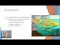 AP Env Sci Topic 8 5 Eutrophication