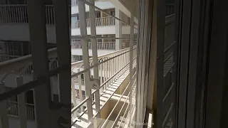                                              دندنها