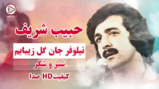 حبیب شریف   نیلوفر جان گل زیبایم   موسیقی افغانی قدیمی کلاسیک شاد   آهنگ نوستالژیک کابل دندنها
