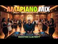 Lagu PURE AMAPIANO VIBES 2025🔥| 30-Minute Executive Party Mix 