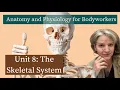 A P Unit 8 The Skeletal System MBLEx Prep