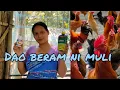 Download Lagu Chicken farming medicine#babaldproduction #chickenegg #localchicken #villagefarminglife #chickenfarm
