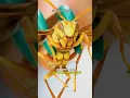 Why Do We Hate Wasps But Love Bees