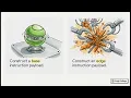 Solana Client Interaction Stubs End-to-End Workflow Forge College
