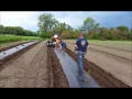 Weed Barrier Fabric Installation