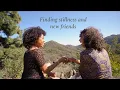 A week in Los Angeles finding stillness and making new friends