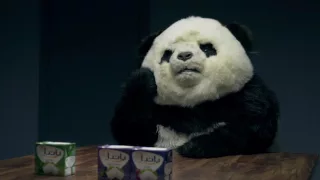 Panda Cheese Egypt اعلان جبنه باندا فنان 