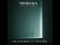 Ninemia - The Darkness Of Paradise