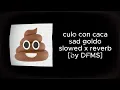 Download Lagu culo con caca - sad goldo #slowed #reverb [by DFMS]