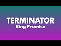 Download Lagu King Promise - Terminator (Lyrics)| I cos who're u to judge me, i be like terminator, i dey deliver