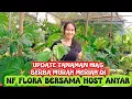 Download Lagu UPDATE TANAMAN HIAS SERBA MURAH MERIAH DI NF FLORA BERSAMA HOST ANYAR 