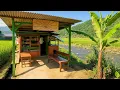 Download Lagu Nikmatnya‼️Ngopi Santai Di Warung Sawah Pinggir Sungai, Air Jernih Mengalir Di Tengah Alam Indah