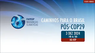 CAMINHOS PARA O BRASIL PÓS-COP29