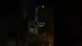 ما أجمل صوته الشيخ محمد صديق المنشاوي قرآن 