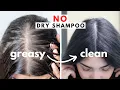 how to wash greasy hair in 5 min without dry shampoo