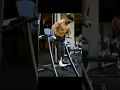 Download Lagu Hum Bhi Wo Hai Jo Kabhi Kisi Ke Peche Khade Nahi Hote | Gym Motivation | Whatsapp Status
