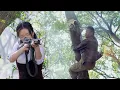 Download Lagu 日本特工伏擊功夫小子，不料被他爬到樹上逃脫！
