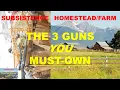 The 3 Farm GUNS You MUST OWN