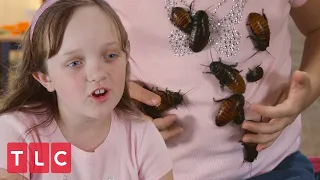 obsessed with collecting cockroaches my kids obsession extended 